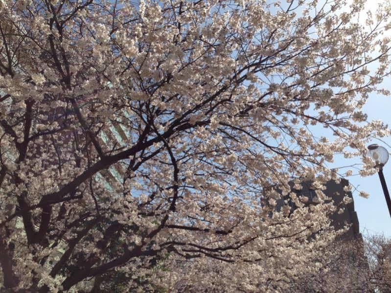 Shonan Kamakura Crystal Hotel Fujisawa Zewnętrze zdjęcie