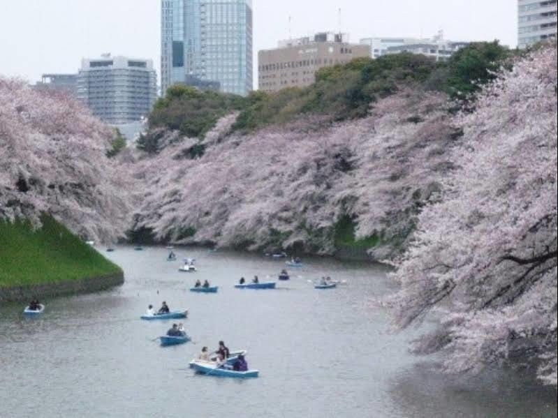 Shonan Kamakura Crystal Hotel Fujisawa Zewnętrze zdjęcie